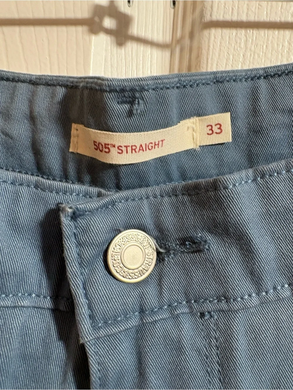 Levi's Men's Blue Casual Pants